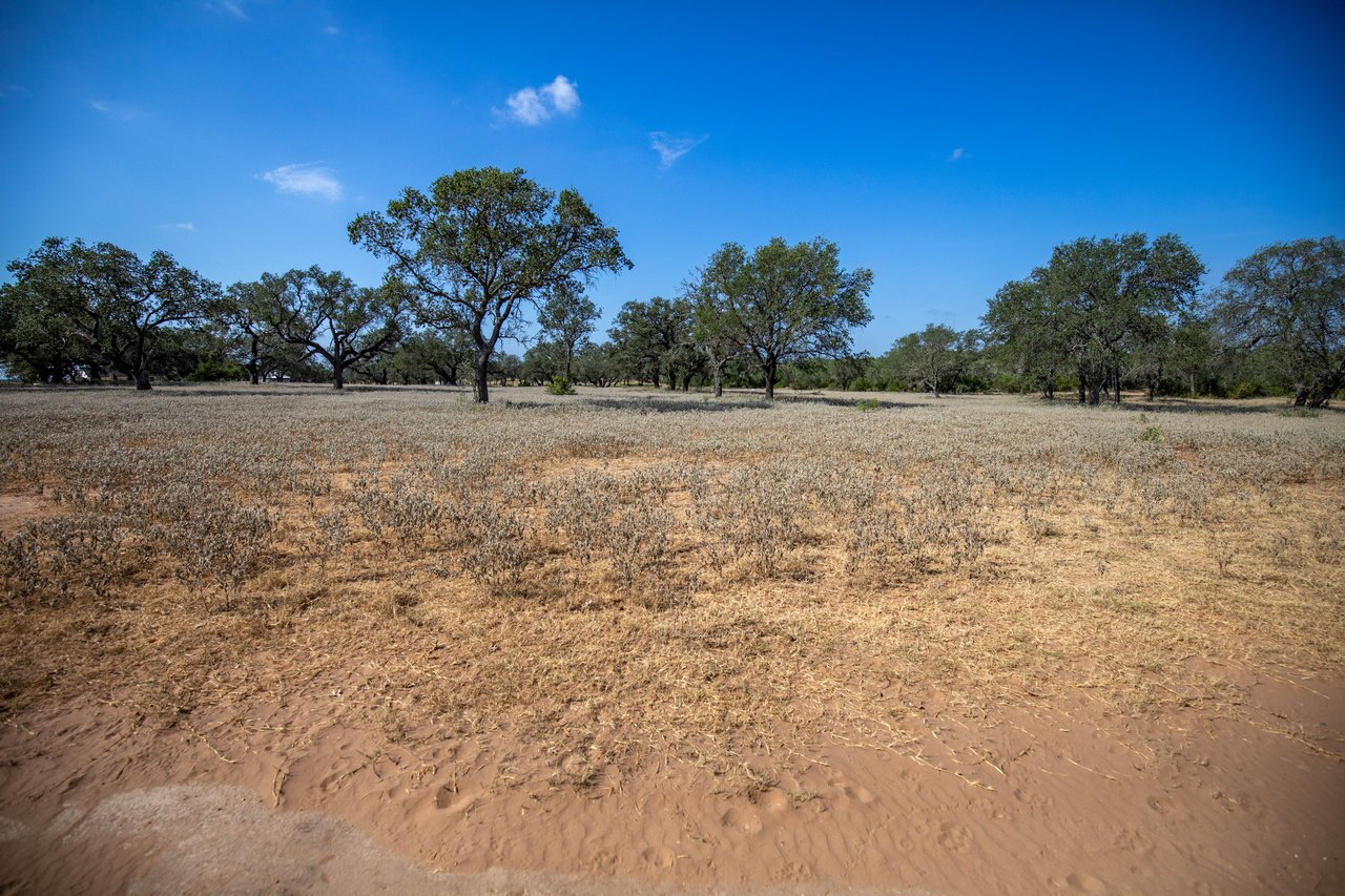 Oaks, Wildlife, & the Quiet of the Countryside | 26.99± Acres | Poteet, TX
