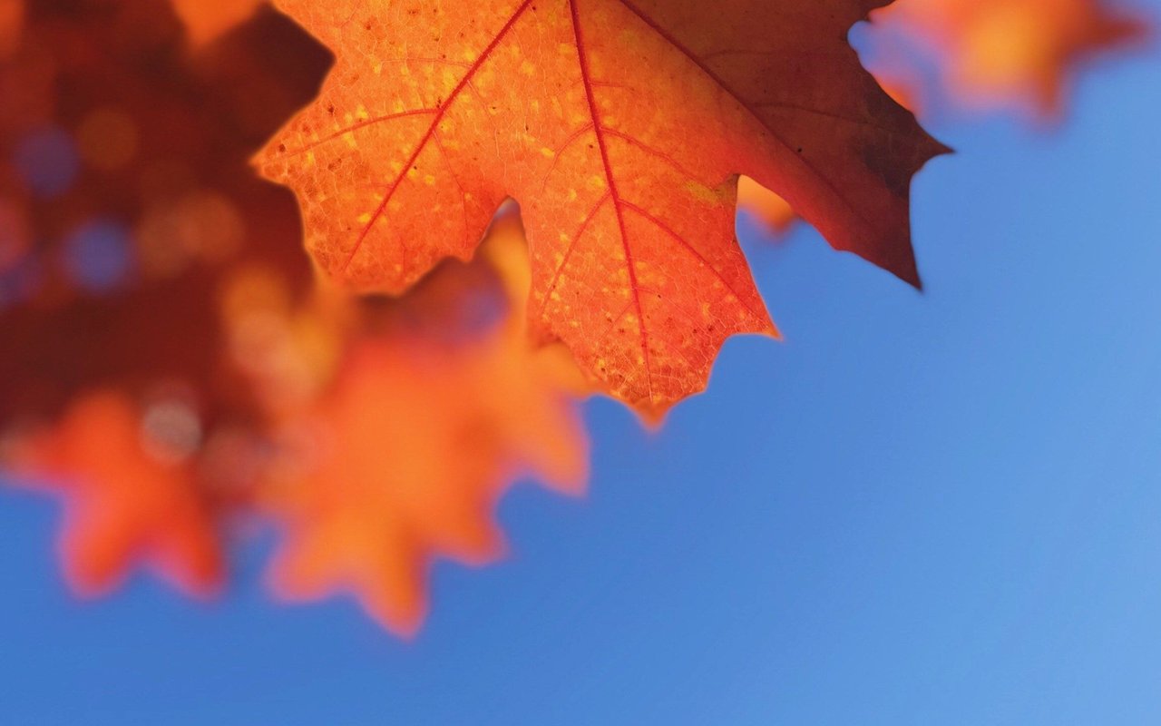 10 Ways to Make Your Fall Open House Extra-Cozy