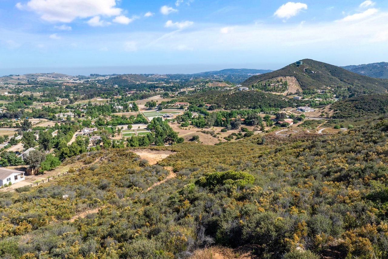 6 Vista del Bosque