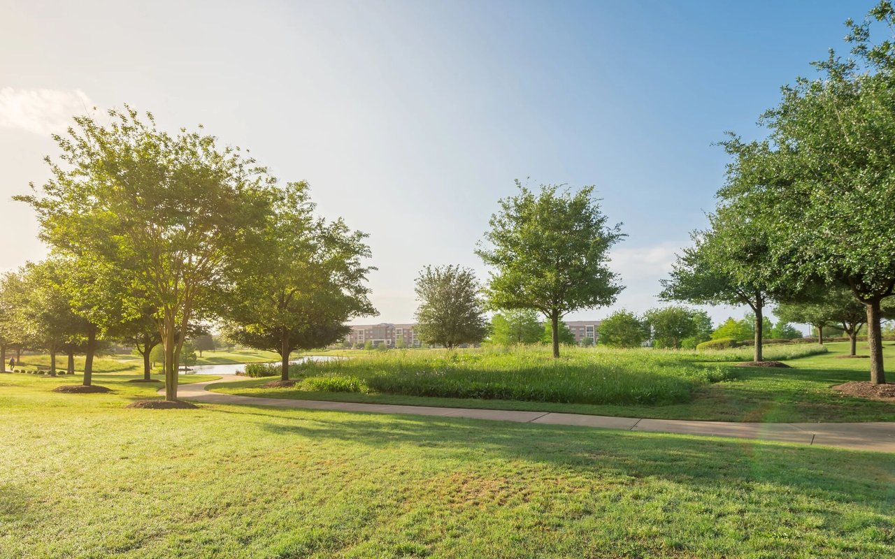 Christie Pits