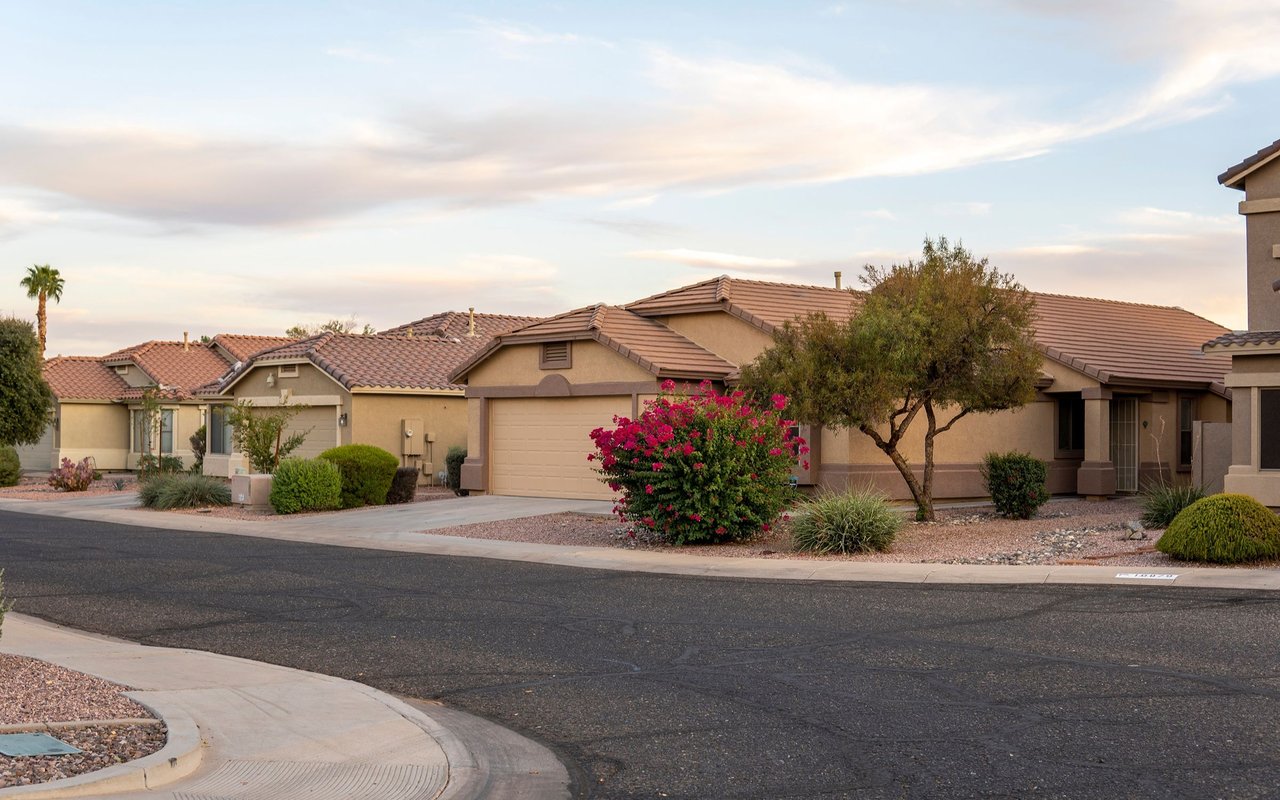 Courdon Palms