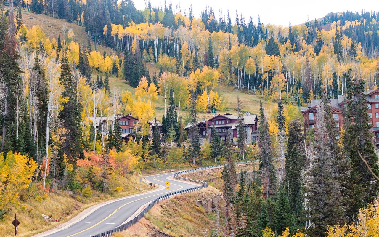 Winding road through a mountain neighborhood of chalet-style homes and golden autumn aspens.