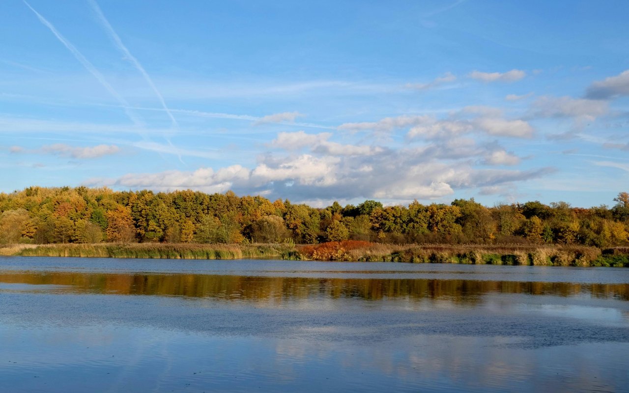 Watts Bar Lake