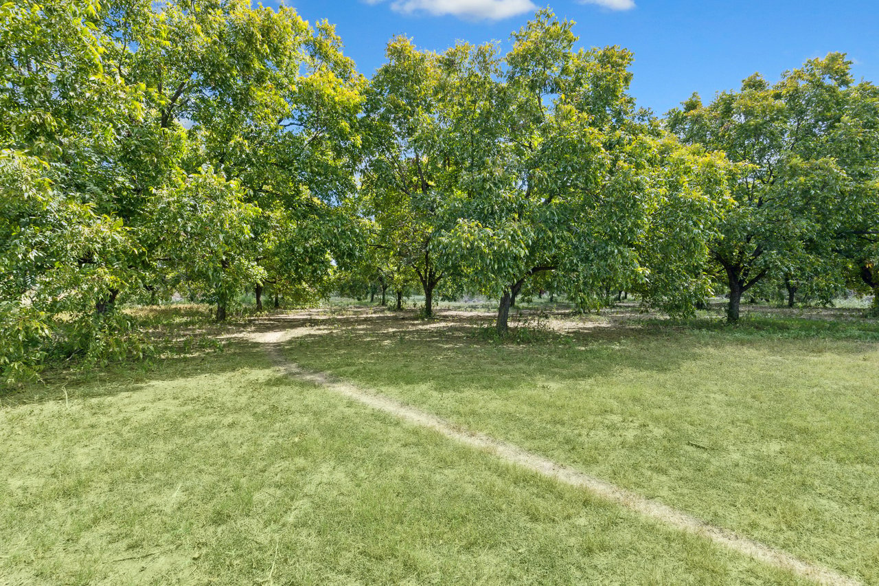 10 ACRES | 16709 Decker Creek