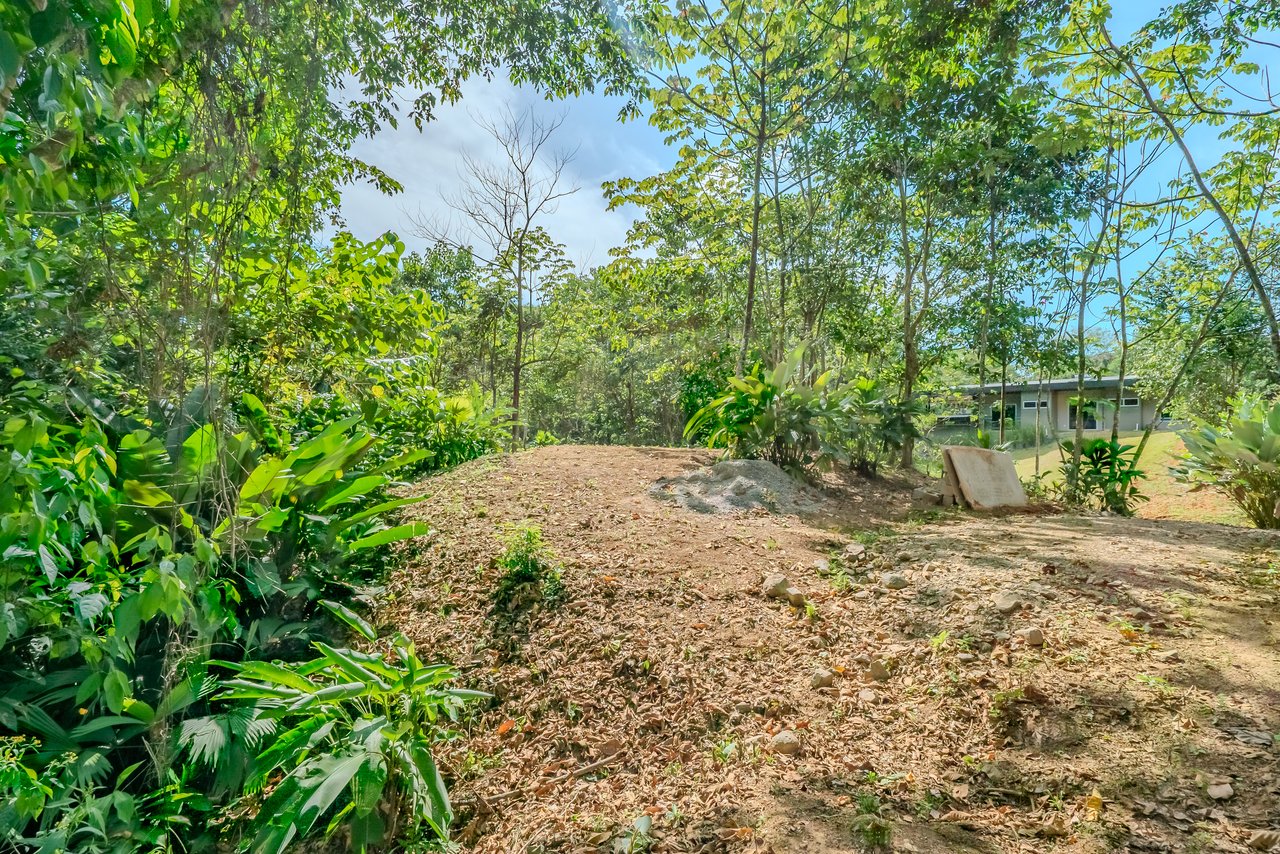 Brand New Tropical Jungle Home in Ojochal