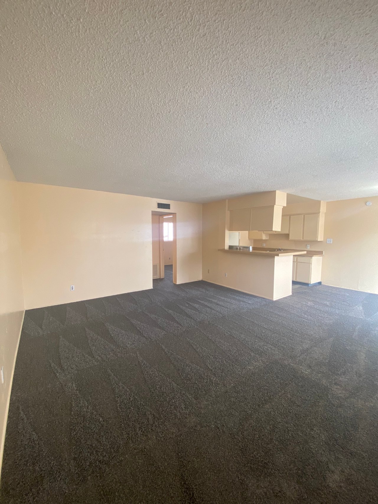 537 Calcaterra Circle #B