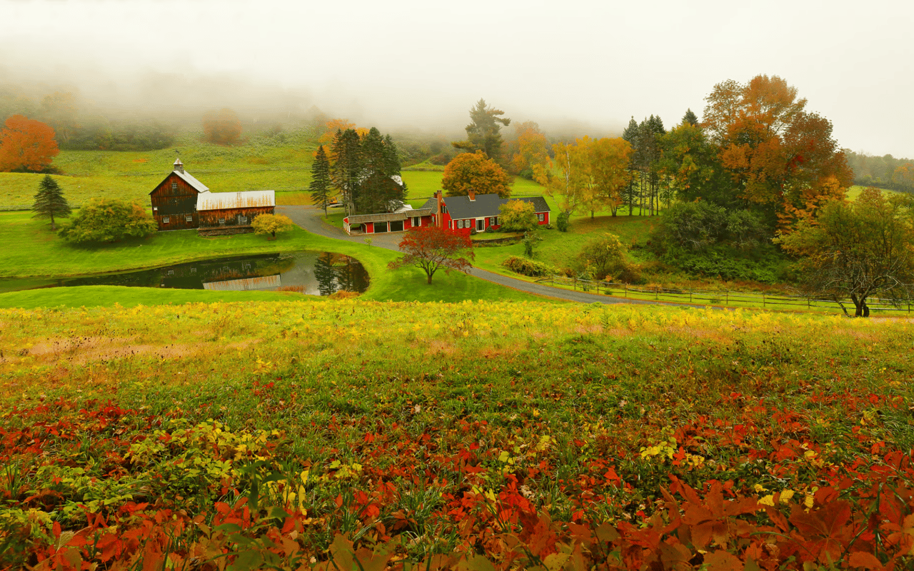 Newfane