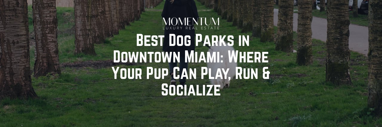 🐾 Best Dog Parks in Downtown Miami: Where Your Pup Can Play, Run & Socialize