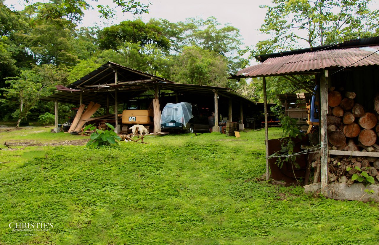 Finca Isla Rainforest Retreat – A Rare Income-Producing Paradise