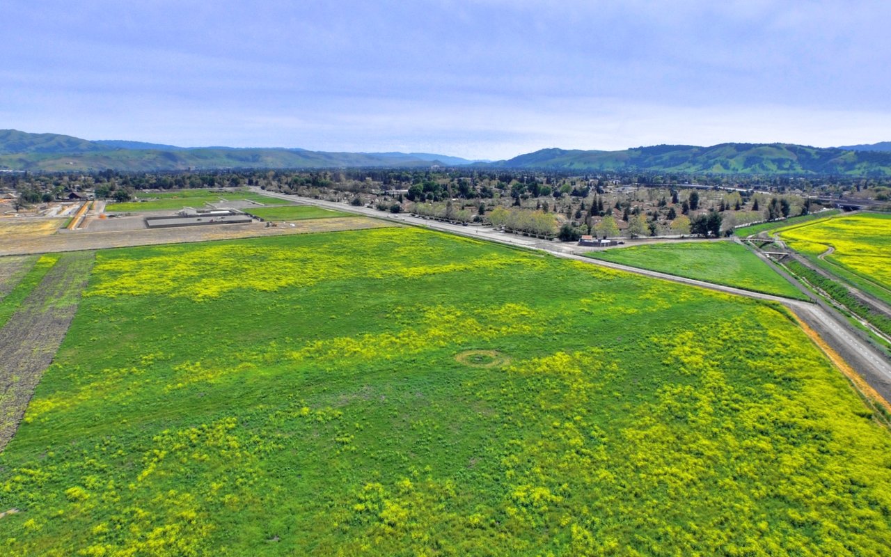 Blossom Valley