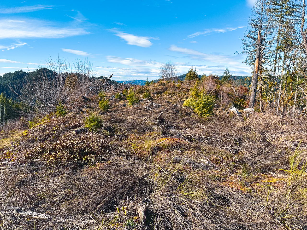 Smith River Back Woods