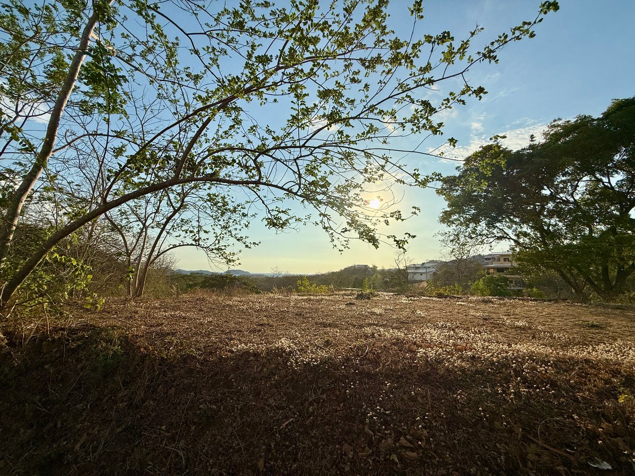 Lot 59 – La Marcela | Tranquil Jungle Ocean View Homesite in Potrero