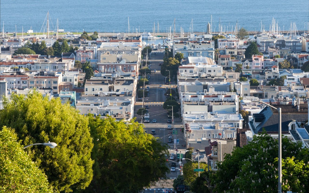 Cow Hollow