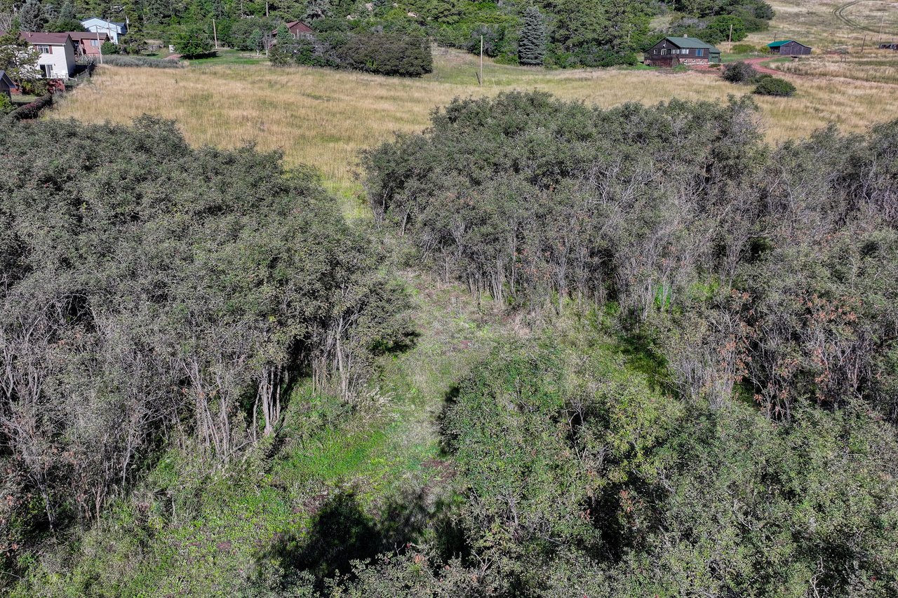 15989 S Perry Park Road