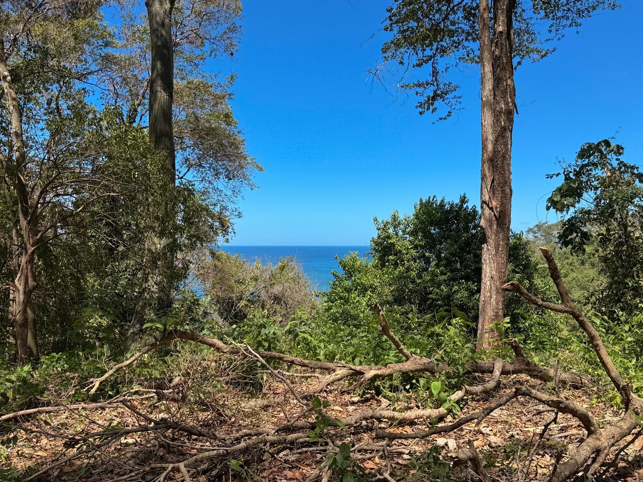 Refined Ocean View Development Parcel, Santa Teresa, Puntarenas