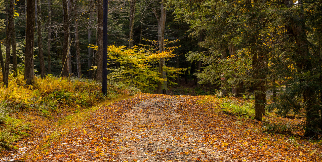 7 Things to do in Columbia County this Fall 