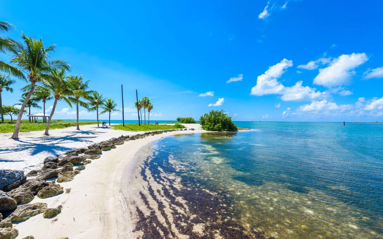 Explore Florida