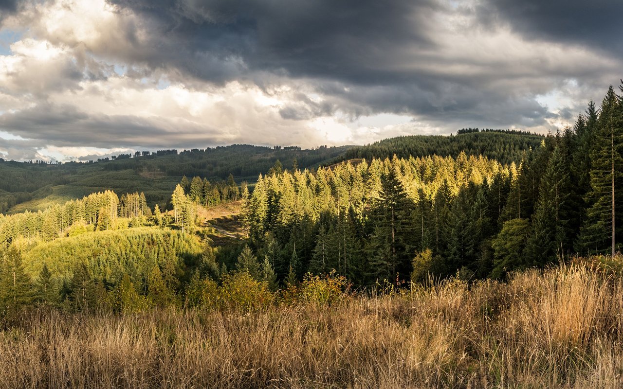 Brush Prairie