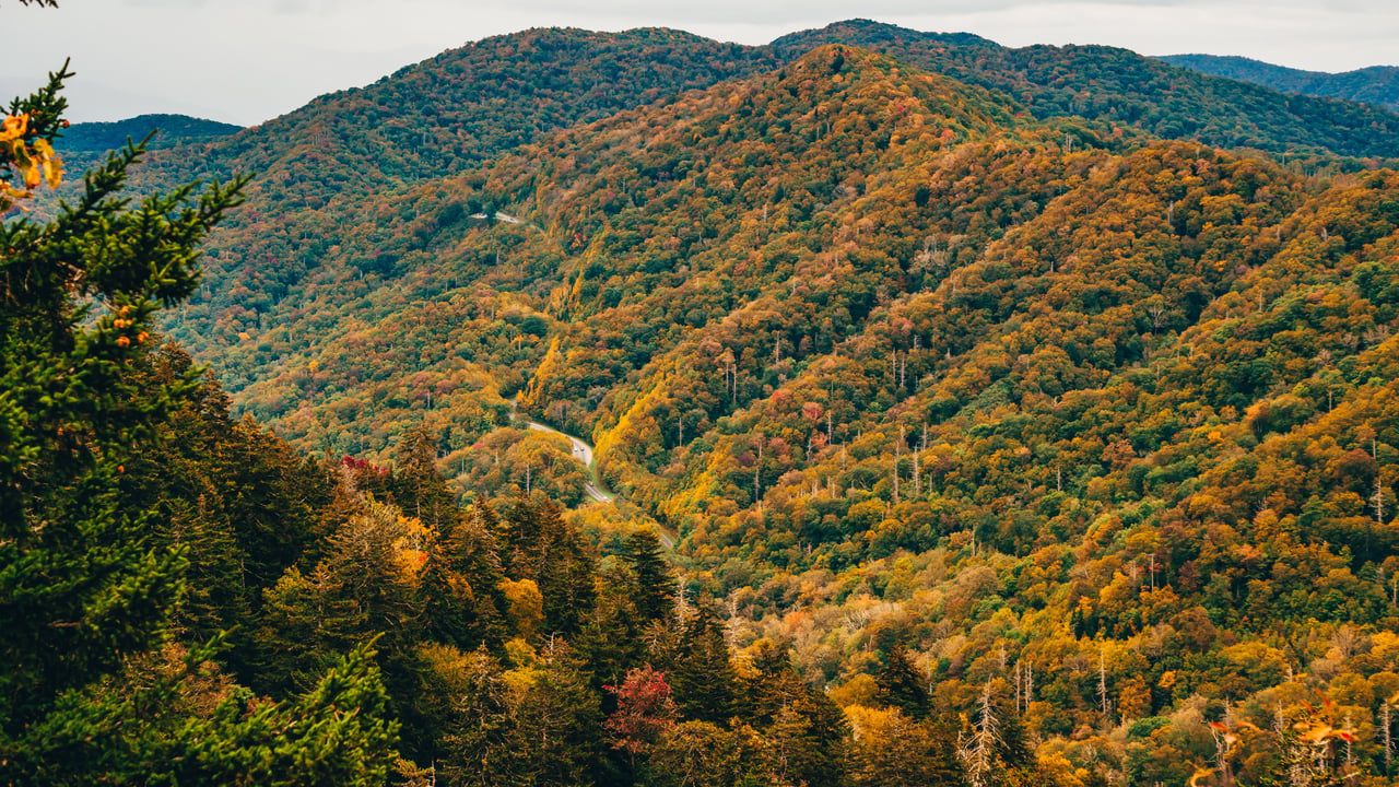 Beyond the Price Tag: Financing Your Mineral Bluff Mountain Escape