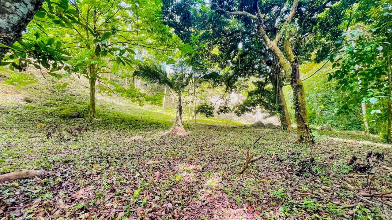 COSTA RICA LAND FOR SALE | LARGE FLAT PRIVATE PROPERTY WITH MOUNTAIN VIEWS, RIVER & FRUIT TREES