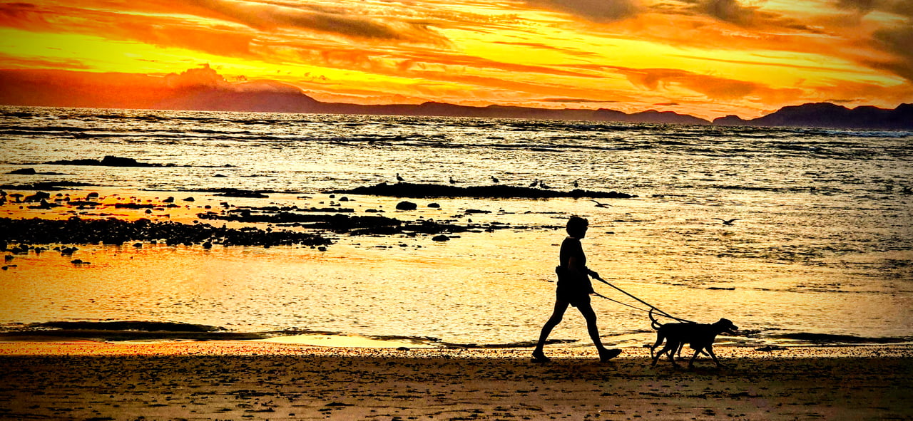 Discover the Architectural Jewel of Fresanye, Cape Town