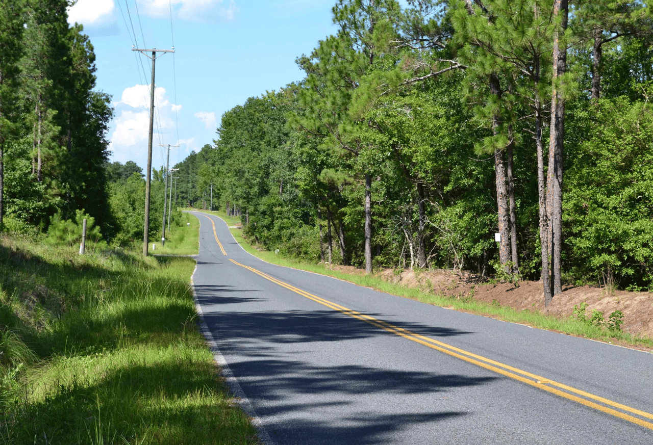 Only Two Lots Remain on Old Field Road in Leesville, SC