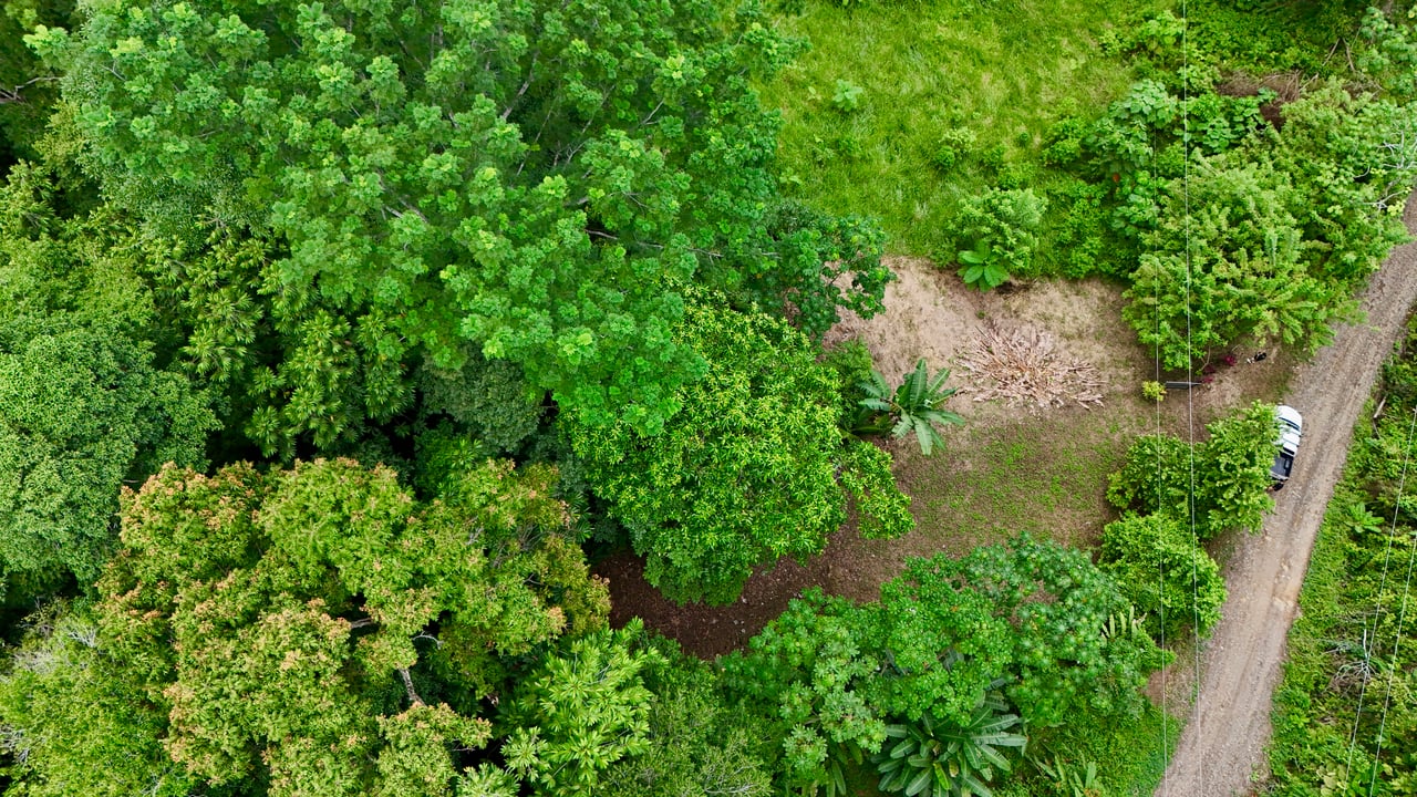 Tres Ríos Jungle Sanctuary | Ready-to-Build Lot Surrounded by Nature