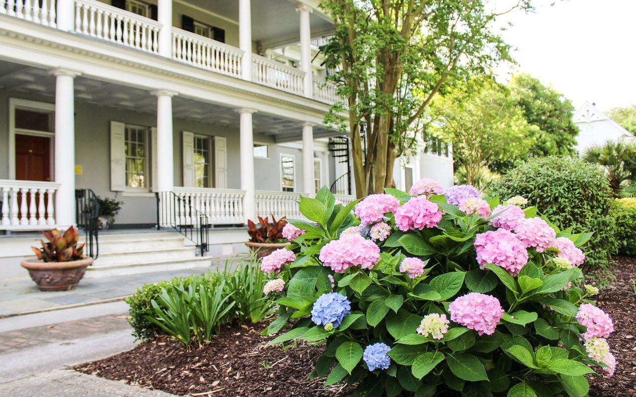 Gray house with a two-story white porch behind blooming pink, purple, and blue hydrangeas.