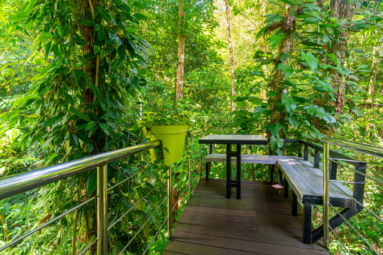 Yaba Chigui, Turnkey Riverside Eco-Resort or Private Family Compound in Ojochal