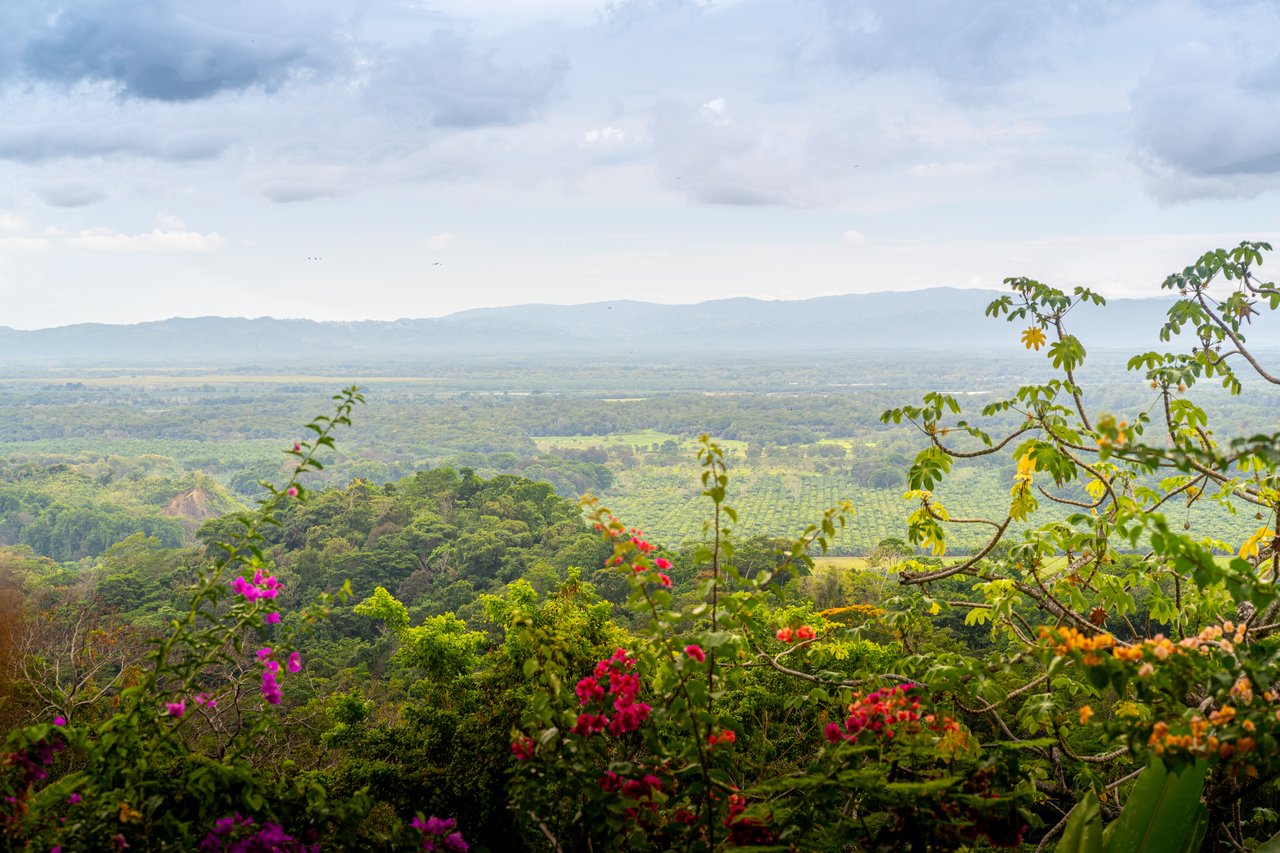 Front Ridge Ocean View Casa Mono Titi – Tres Rios, Costa Rica