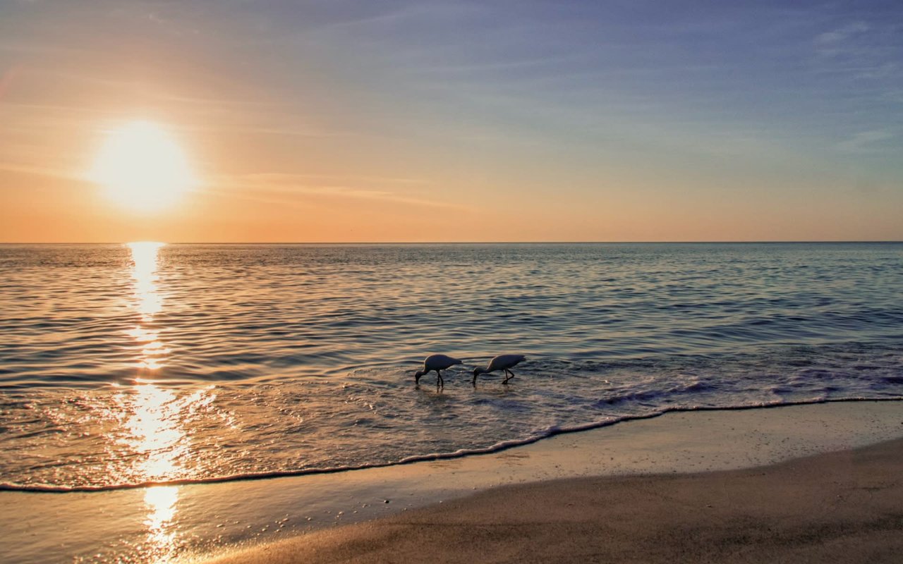 Everything You Need to Know About Moving to Sarasota, FL