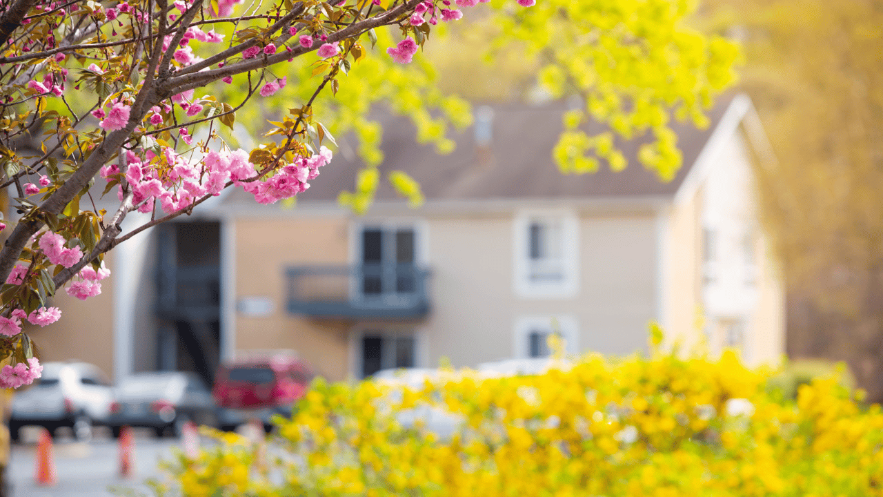 Will the 2023 Spring Real Estate Market Be Different from the Past Few? Buyers & Sellers: Here’s What You Need to Know
