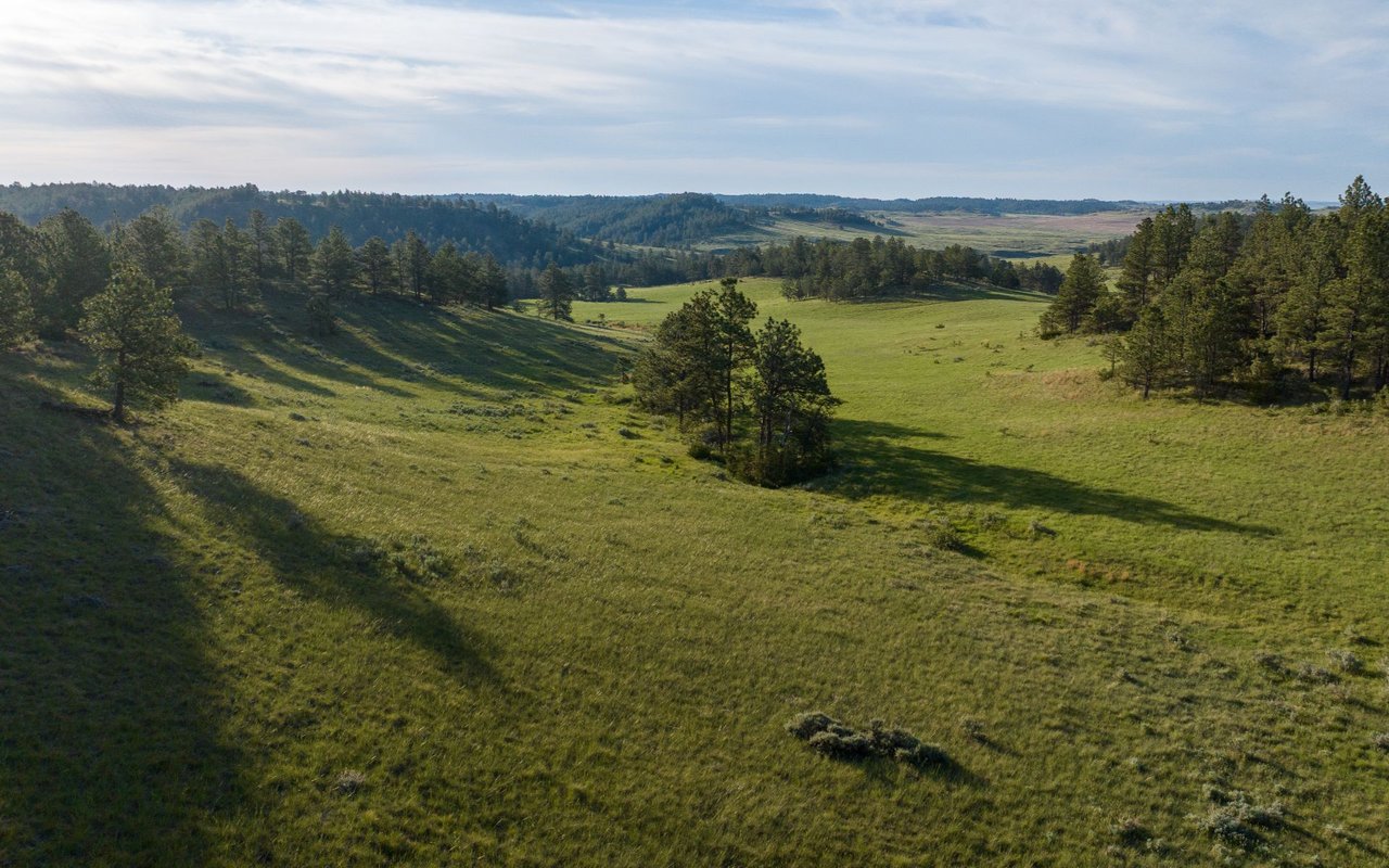 Elk Rich Ranch