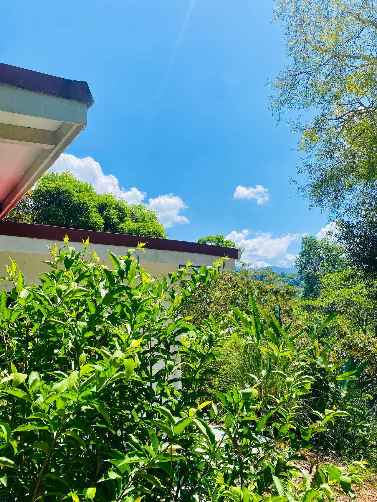 2 Homes in Ojochal Live and Earn in Paradise