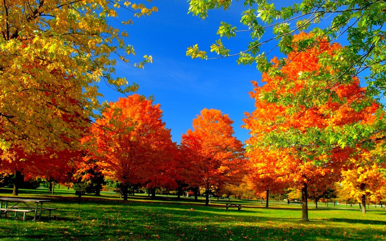 Why September Is a Strategic Time to Buy or Sell Real Estate in New England