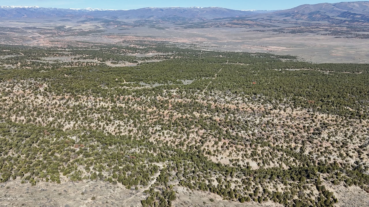 1 W Elk Meadows