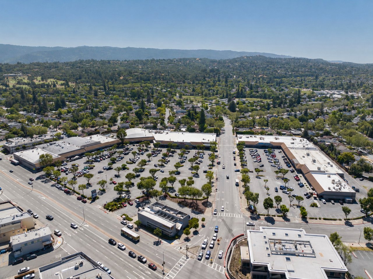 Discovering Selby Lane: A Guide to a Redwood City Neighborhood 