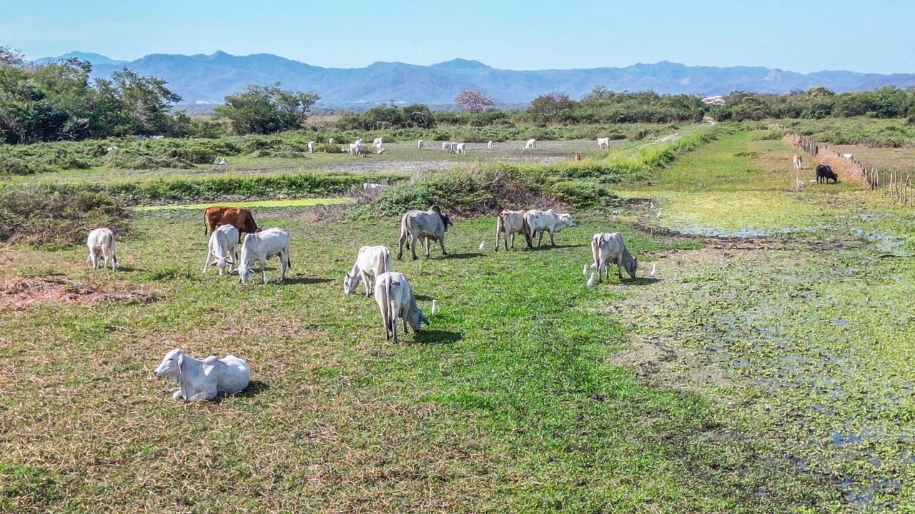 243 Hectares - Large Acreage - Costa Rica Investment Land. 