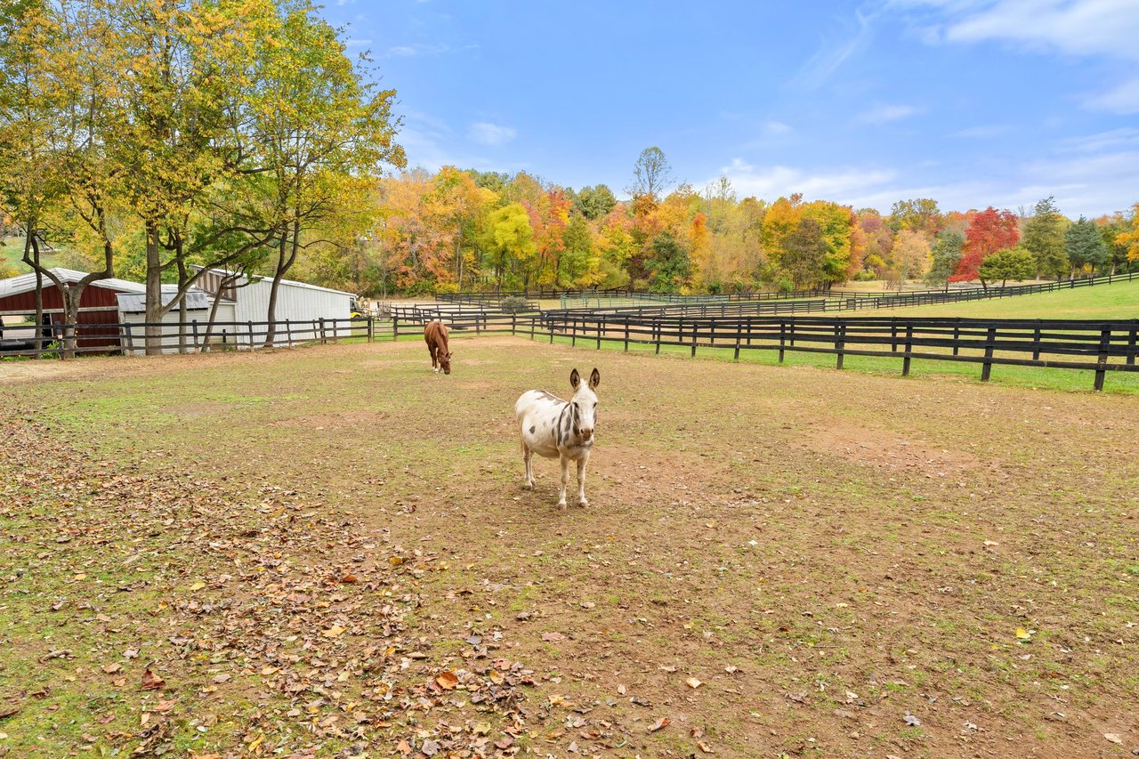Horse property with two horses in a fenced paddock and barns beneath autumn trees.