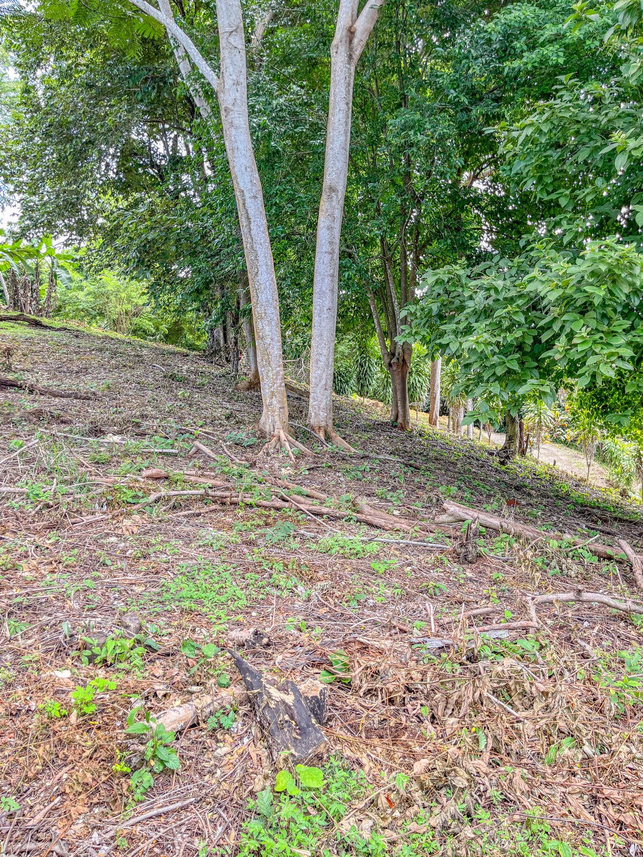 La Reserva Camaronal Lot 34