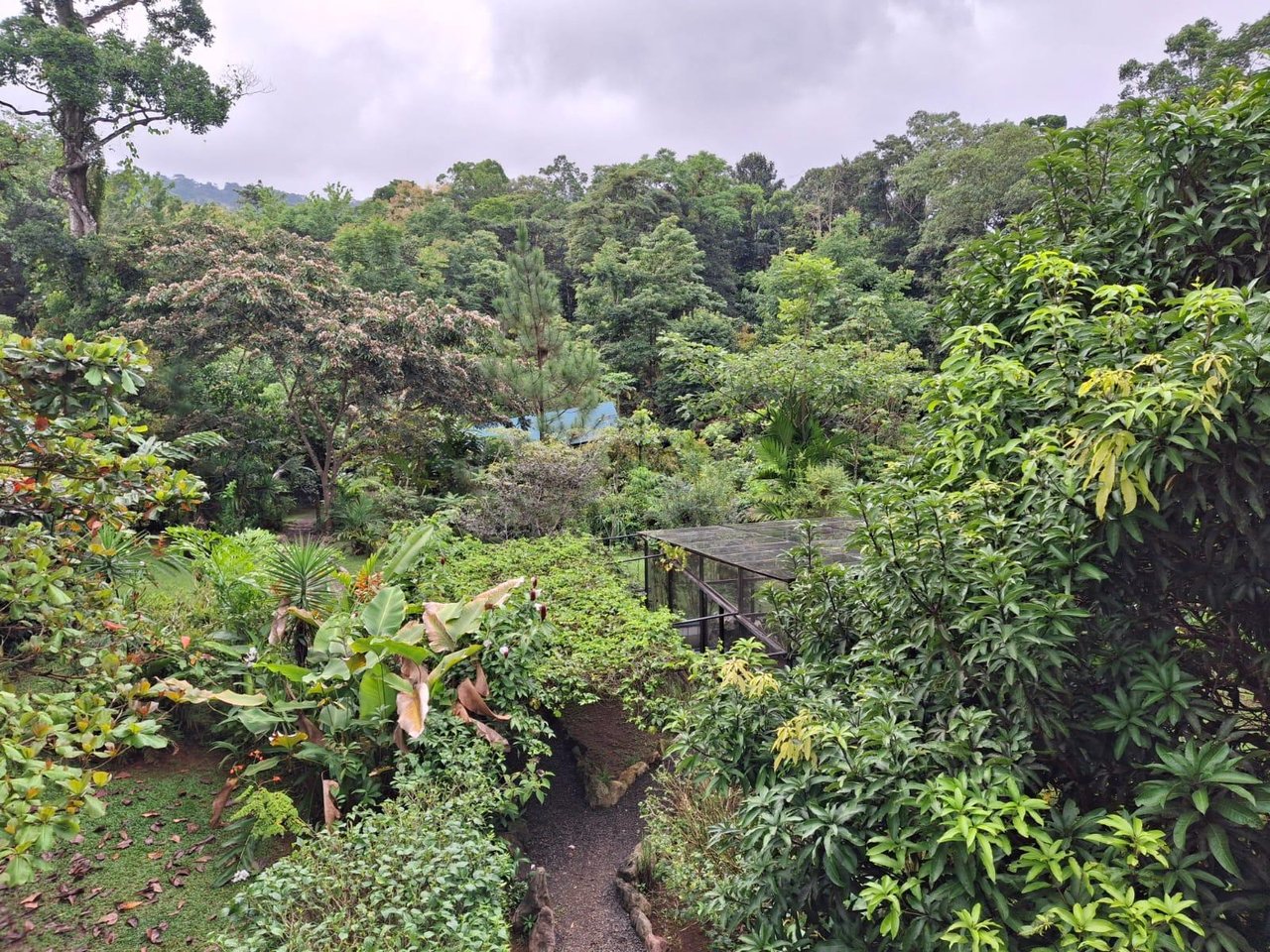 Eco Property Media Luna