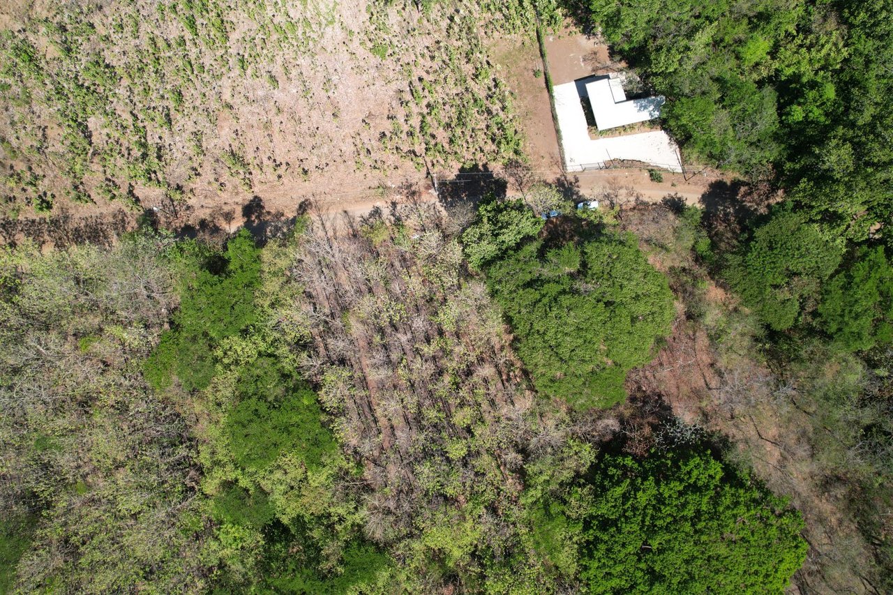 Flat Mixed-Use Land for Sale | Lot #7: Development Opportunity Near Avellanas