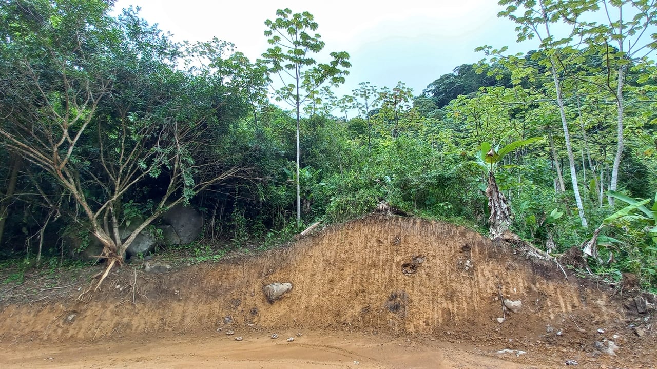 Mountain View Land with Several Building Sites and Mature Fruit Trees