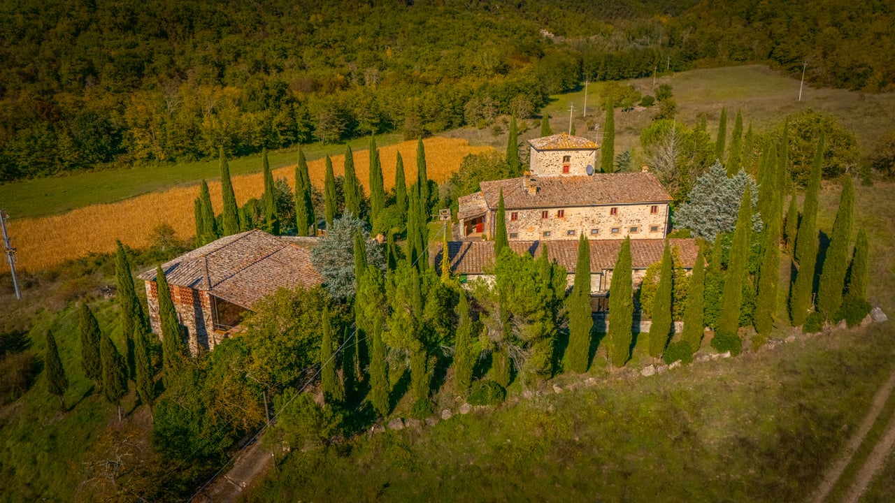 IL FIENILE DEL CHIANTI