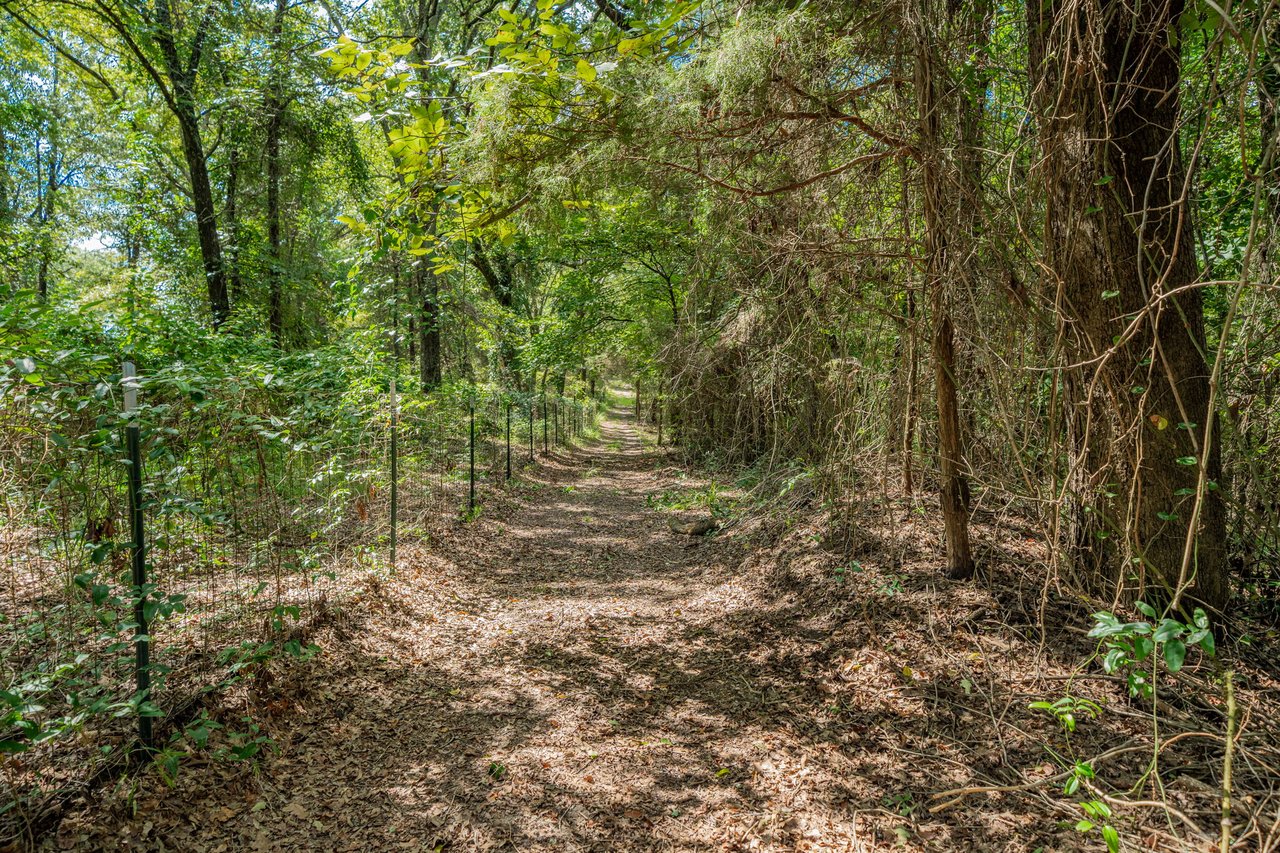 815 VZ County Road 4409