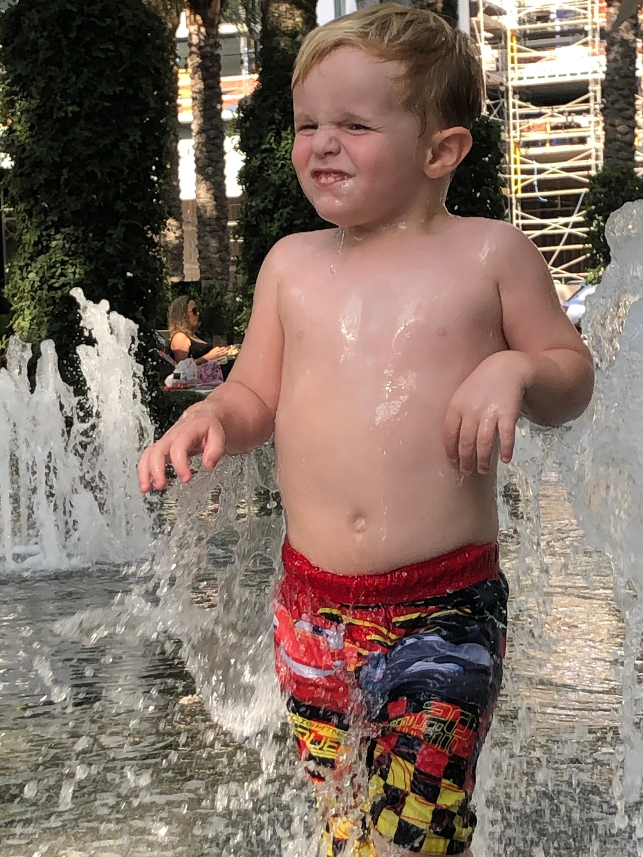 🐶☀️ The Dog Days of Summer: How Arizona Survives 117° Heat 🌵🔥
