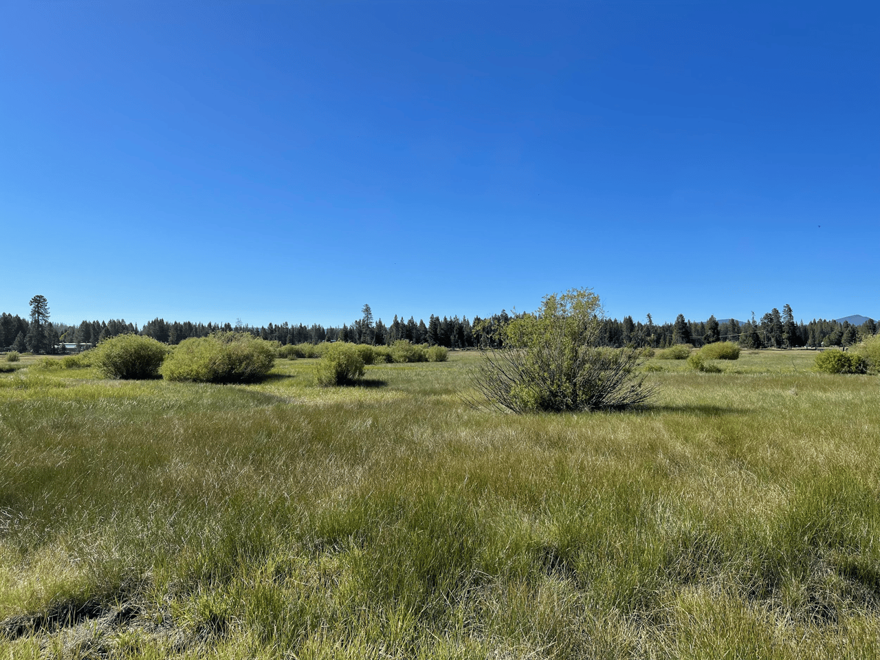 Just Listed: 23 Acres of Land with River Frontage