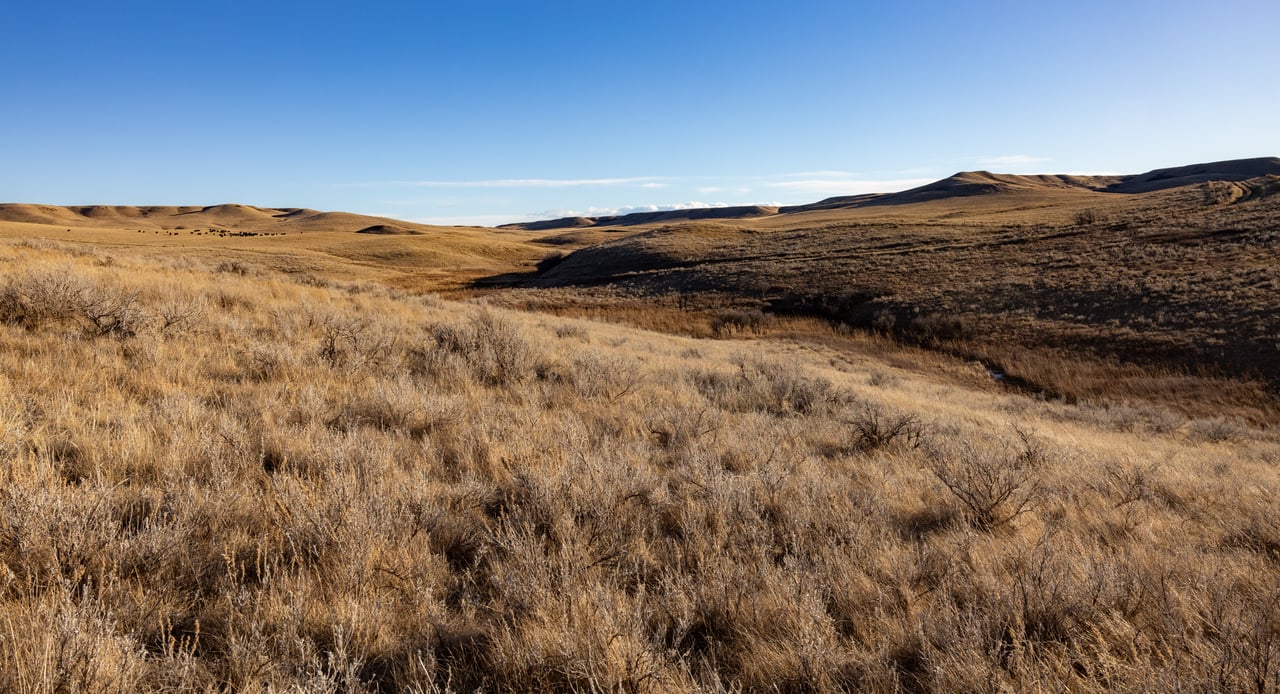 Prairie Rise Ranch