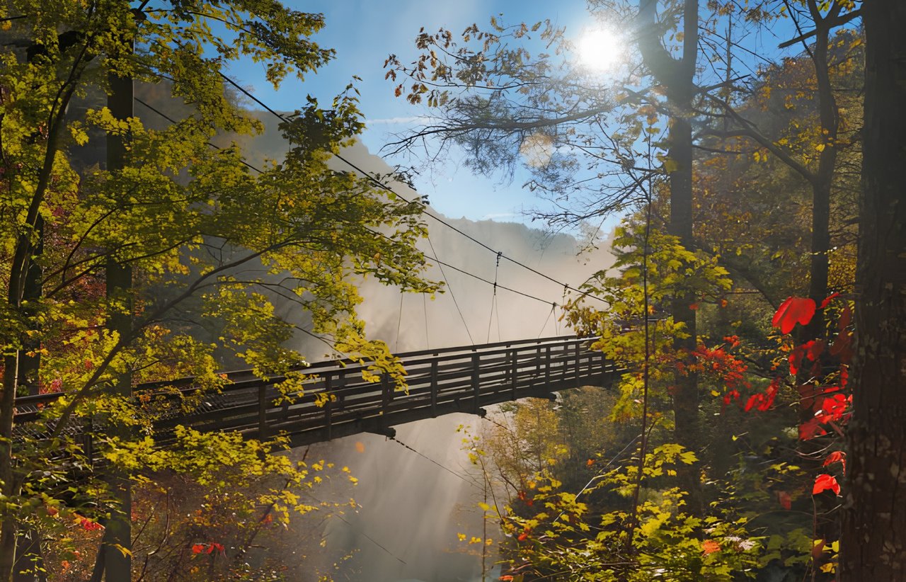 Suspension bridge over a misty gorge, framed by colorful autumn trees.
