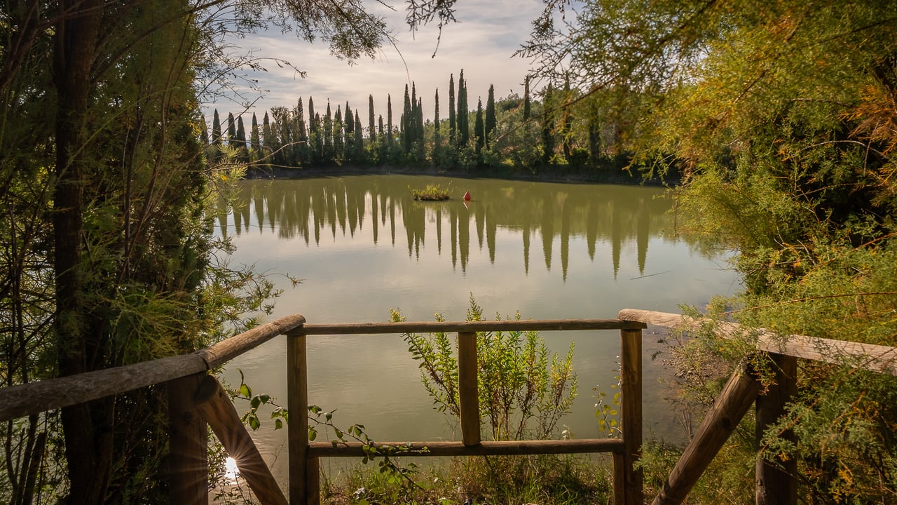 IL LEONE DEL FIORA